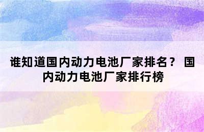 谁知道国内动力电池厂家排名？ 国内动力电池厂家排行榜